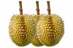 Durian On White Background Stock Photo