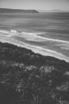 View Of Bruny Island Beach During The Day Stock Photo