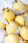 Chinese Pear Stock Photo