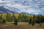 Scenic View Of The Grand Teton National Park Stock Photo