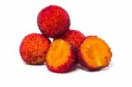 Strawberry Tree (arbutus Unedo) Fruit Stock Photo