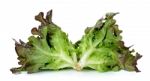 Lettuce Isolated On The White Background Stock Photo