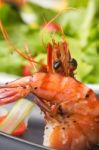 Grilled Shrimp Stock Photo