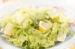 Fresh Lettuce Salad Stock Photo