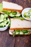 Fresh Vegetarian Sandwich With Garlic Cheese Dip Salad Stock Photo