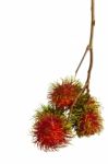 Asian Fruit Rambutan On The Plain Background Stock Photo