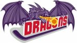 Dragon Fire Hockey Stick Retro Stock Photo