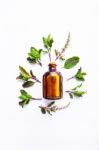 Holy Basil Essential Oil In A Glass Bottle With Fresh Holy Basil Stock Photo