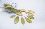 Dried Bay Leaves In Glass Jar On White Wooden Background Stock Photo