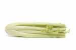 Celery Vegetable On White Stock Photo