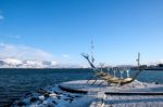 Sun Voyager In Reykjavik Stock Photo