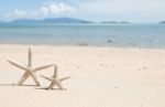 Starfish Standing On The Beach Stock Photo