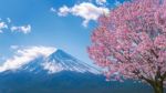 Fuji Mountain And Cherry Blossoms In Spring, Japan Stock Photo