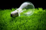 Light Bulb On Green Grass Stock Photo