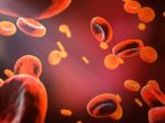 Abstract Red Blood Cells,scientific Or Medical Or Microbiological Background Stock Photo