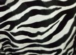 Zebra Skin Stock Photo