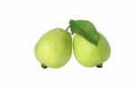 Two Guavas Stock Photo