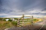 Cattle Grid Stock Photo