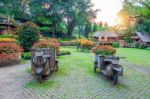 Garden Flowers, Mae Fah Luang Garden Locate On Doi Tung In Chiang Rai,thailand Stock Photo