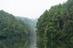 Nature Landscape At Morning Of Lakes And Pine Forests Stock Photo