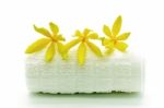 Ylang-ylang Flower Stock Photo