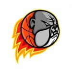 Bulldog Blazing Basketball Mascot Stock Photo