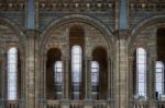 Interior View Of The Natural History Museum In London Stock Photo