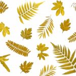 Background By Yellow Leaves And Orange Leaves And Dry Leaves And Flower Stock Photo