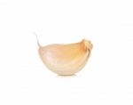 Garlic Isolated On The White Background Stock Photo