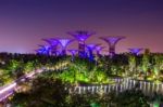 Super Tree In Garden By The Bay, Singapore Night Cityscape Stock Photo