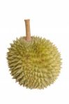 Durian Stock Photo