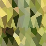 Dark Khaki Abstract Low Polygon Background Stock Photo