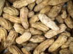 Boiled Peanuts Stock Photo