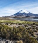 Parinacota Volcano, Lauca, Chile Stock Photo