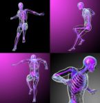 3d Rendering Medical Illustration Of The Skeleton Stock Photo