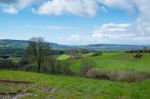 Scenic View Of The Undulating Countryside Of Somerset Stock Photo