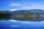 View Of Bruny Island Beach In The Late Afternoon Stock Photo