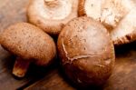 Shiitake Mushrooms Stock Photo