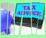 Tax Advice Piggy Bank Shows Professional Advising On  Taxation Stock Photo