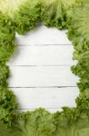 Fresh Lettuce Leafs Creating A Frame Stock Photo