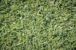 Green Fake Grass Background Stock Photo