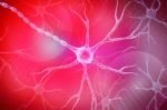 Neuron In Colour Background Stock Photo