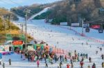 Vivaldi Park Ski Resort  In Korea Stock Photo