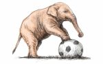 Elephant Playing Football, Sketch Free Hand Draw Illustration Stock Photo