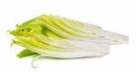 Fresh Chicory Isolated On A White Background Stock Photo