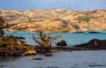 Autumn In Patagonia. The Torres Del Paine National Park In The S Stock Photo