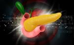 Pancreas Stock Photo