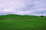 Farming Field In Tasmania, Australia Stock Photo