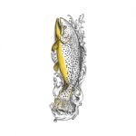 Brown Trout Swimming Up Tattoo Stock Photo