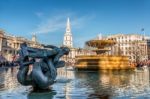 Fountain In Trafalgar Square Stock Photo